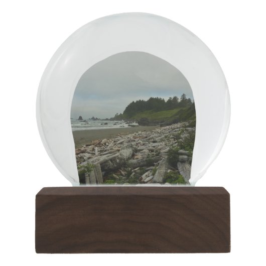 隠しビーチIアットレッドウッド国立公園 スノーグローブ (正面)