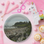 隠しビーチIアットレッドウッド国立公園 ペーパープレート (パーティー)