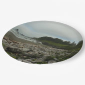 隠しビーチIアットレッドウッド国立公園 ペーパープレート (アングル)