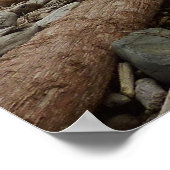 隠しビーチIアットレッドウッド国立公園 ポスター (角)