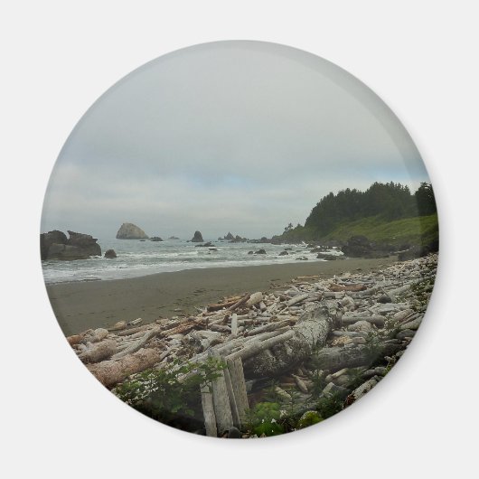 隠しビーチIアットレッドウッド国立公園 マグネット (正面)