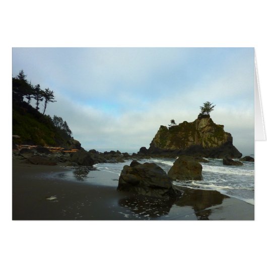 隠しビーチIIアットレッドウッド国立公園 (正面横)