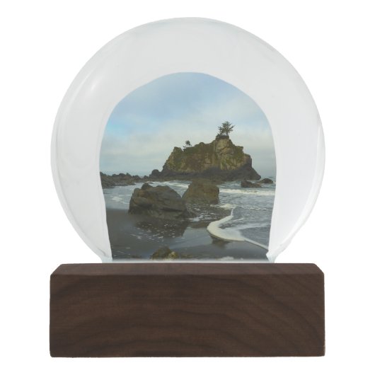 隠しビーチIIアットレッドウッド国立公園 スノーグローブ (正面)