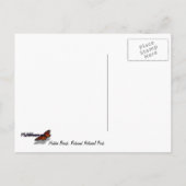 隠しビーチIIアットレッドウッド国立公園 ポストカード (裏面)