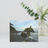 隠しビーチIIアットレッドウッド国立公園 ポストカード (スタンド正面)