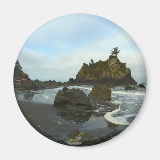 隠しビーチIIアットレッドウッド国立公園 マグネット (正面)