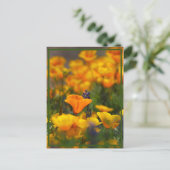 隠しポピー ポストカード (スタンド正面)