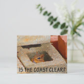 隠しリス ポストカード (スタンド正面)