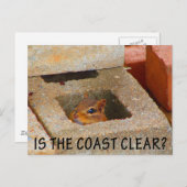 隠しリス ポストカード (正面/裏面)