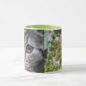 隠し子猫マグ マグカップ (中央)