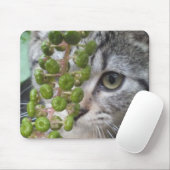 隠し子猫 マウスパッド (マウス)