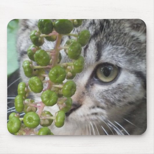 隠し子猫 マウスパッド (正面)