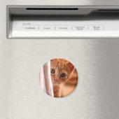 隠し探し子猫冷凍機 マグネット (インサイチュ (食洗機))