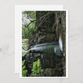 隠し春滝 シーズンカード (正面/裏面)