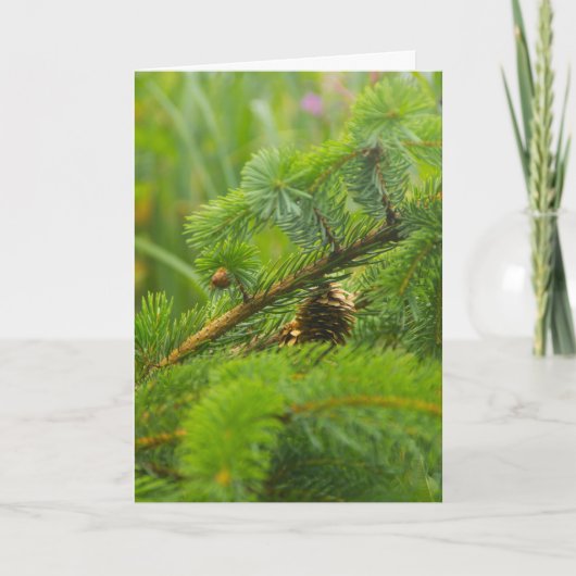 隠し松錐グリーティングカード シーズンカード (正面)