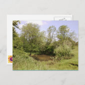 隠し池の写真はがき ポストカード (正面/裏面)