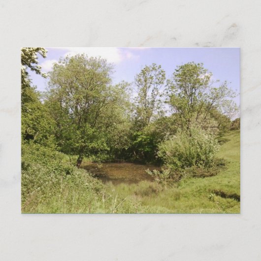 隠し池の写真はがき ポストカード (正面)