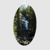 隠し滝ズイングランドテトン国立公園 オーナメント (正面)