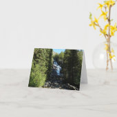 隠し滝ズイングランドテトン国立公園 カード (黄色い花)