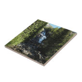 隠し滝ズイングランドテトン国立公園 タイル (側面)