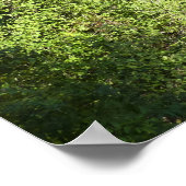 隠し滝ズイングランドテトン国立公園 ポスター (角)