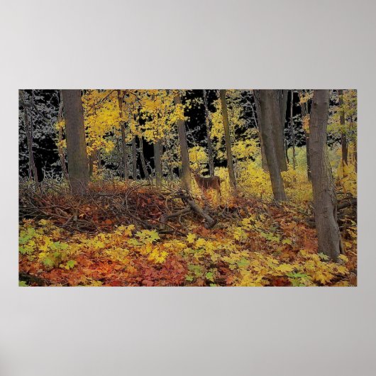 隠し,ポスター ポスター (正面)