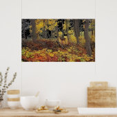 隠し,ポスター ポスター (キッチン)