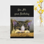 隠せない誕生日かわいい子猫 カード (黄色い花)