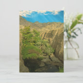 隠れたオアシス シーズンカード (スタンド正面)