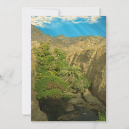 隠れたオアシス シーズンカード