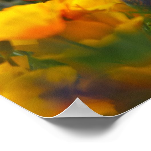 隠れたケシ ポスター (角)