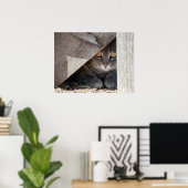 隠れた子猫 ポスター (ホームオフィス)