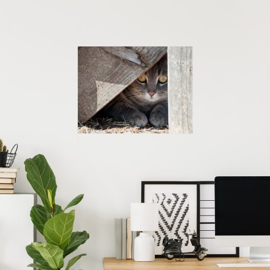 隠れた子猫 ポスター (ホームオフィス)