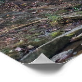 隠れた森の滝 ポスター (角)