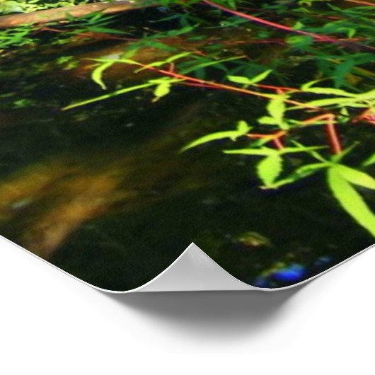 隠れた滝 ポスター (角)