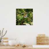 隠れた滝 ポスター (キッチン)