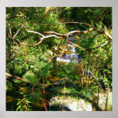 隠れた滝 ポスター (正面)