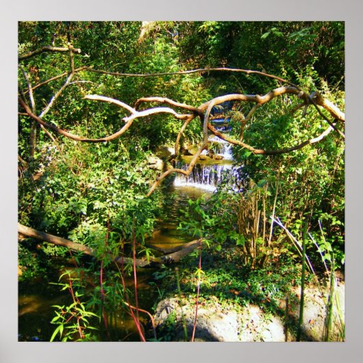 隠れた滝 ポスター (正面)