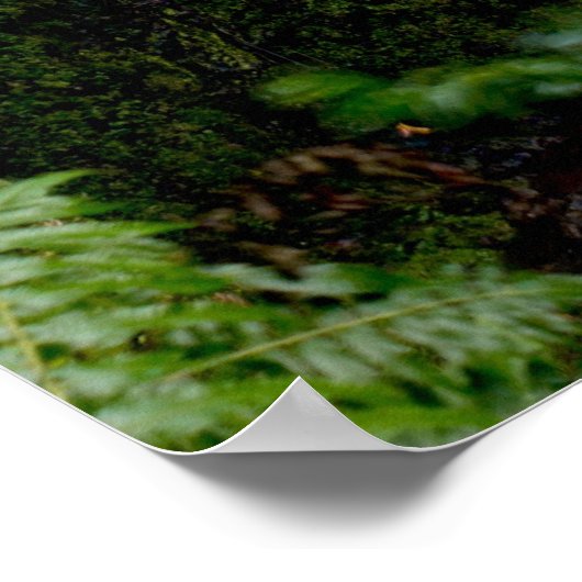 隠れた滝 ポスター (角)