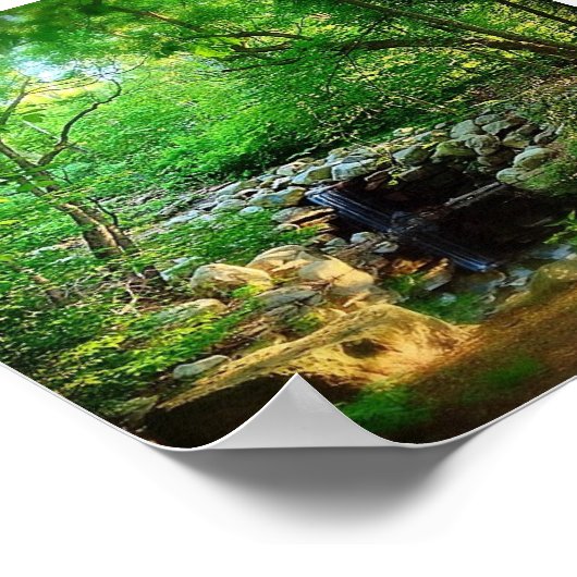 隠れた滝 ポスター (角)