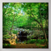 隠れた滝 ポスター (正面)