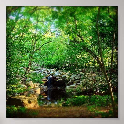 隠れた滝 ポスター (正面)