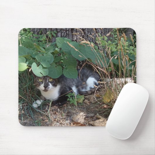 隠れた猫 マウスパッド (マウス)