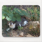 隠れた猫 マウスパッド (正面)