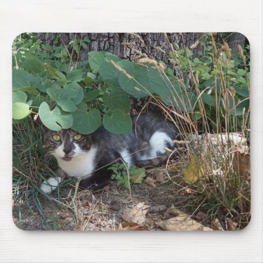 隠れた猫 マウスパッド (正面)