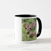 隠れている灰色のDuiker (Sylvicapraのgrimmia) マグカップ (正面右)