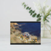 隠れてパフィン ポストカード (スタンド正面)