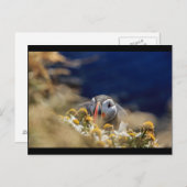 隠れてパフィン ポストカード (正面/裏面)