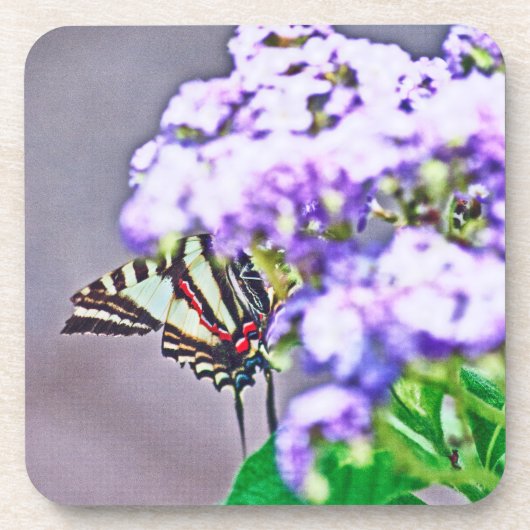 隠れて探すゲーム コースター (正面)