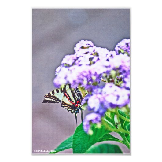 隠れて探すゲーム フォトプリント            (正面)